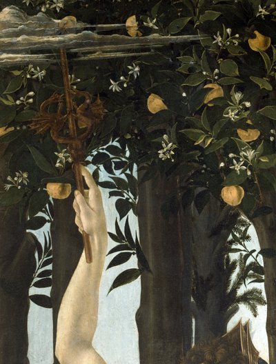Primavera (Detail) von Sandro Botticelli